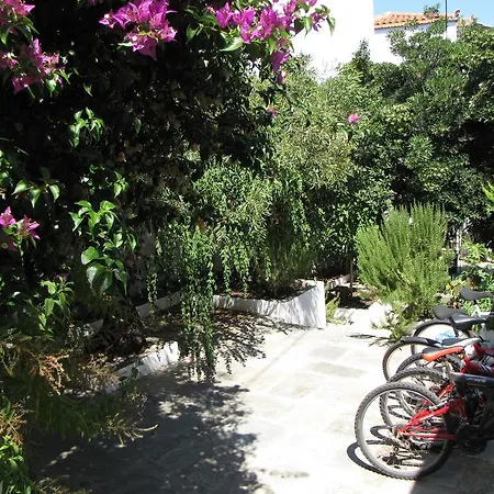 Thea By Kottas Aparthotel Skopelos Town