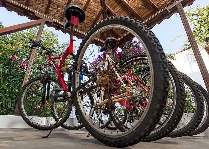 アパートホテル Thea By Kottas スコペロス